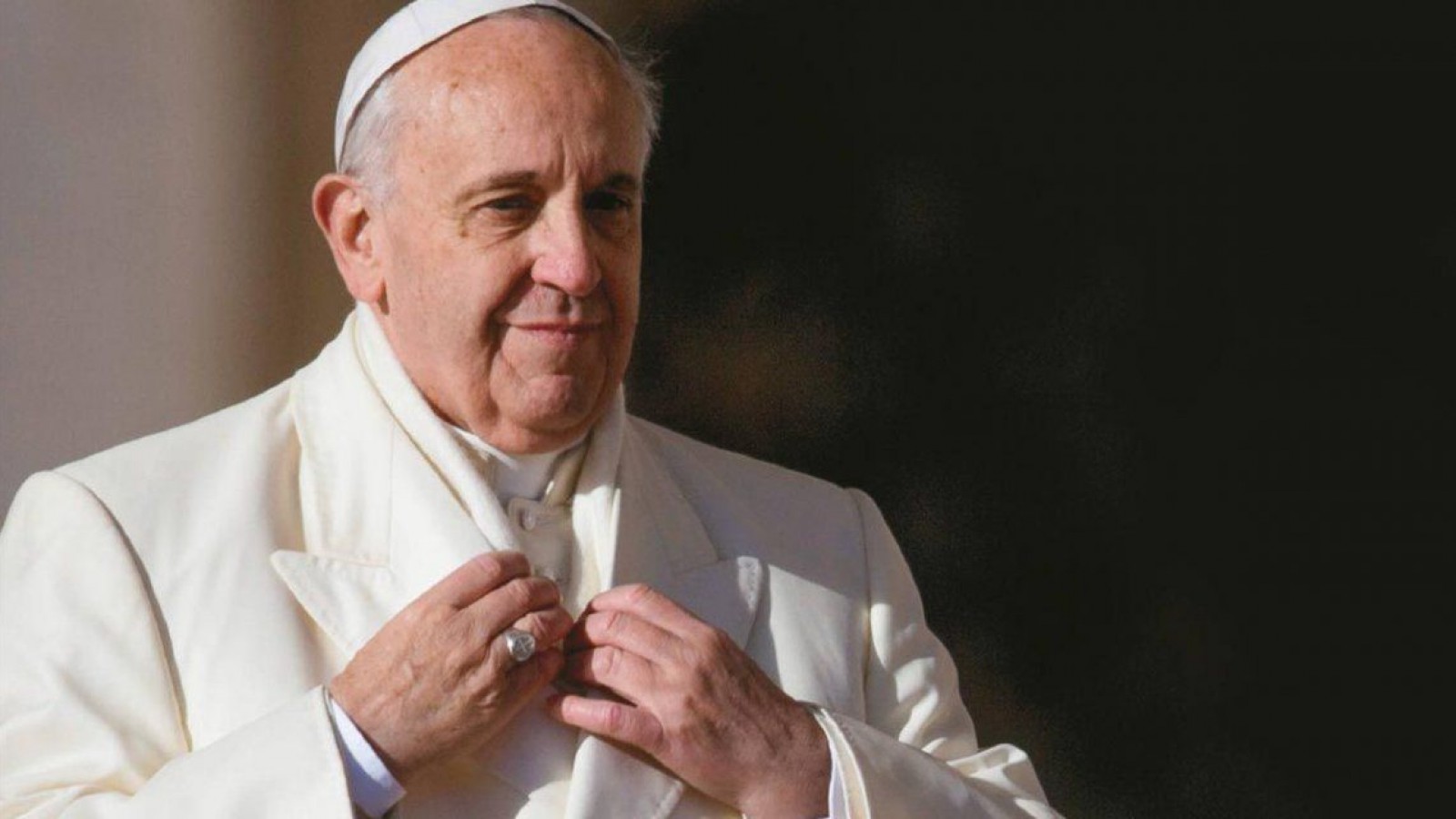 Francisco  criticó a quienes prefieren tener mascotas en lugar  de hijos